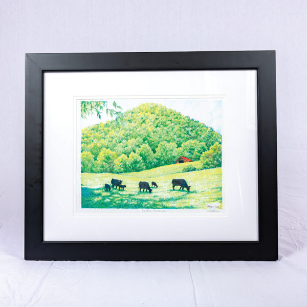 “East Tennessee” by Dr. Bill Kamm